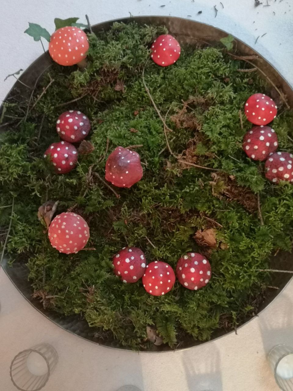 Amanita Mitte September 2024